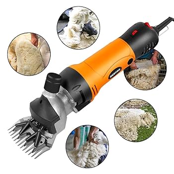 TONDEUSE MOUTON BEETRO ELECTRIQUE 500W / BE0068